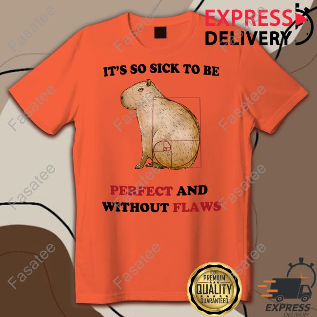 Justinsshirt Store It's So Sick To Be Perfect And Without Flaws Shirt Jmcgg