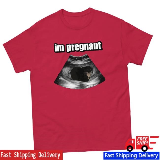 Cringeytees Merch Store Im Pregnant Cringey Shirts