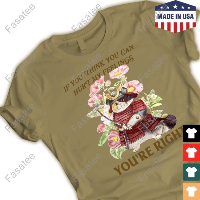 Jmcgg If You Think You Can Hurt My Feelings You're Right Shirt