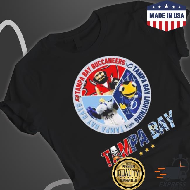 Tampa Bay Team Sport Tampa Bay Rays Tampa Bay Buccaneers Tampa Bay Lightning 2023 shirt