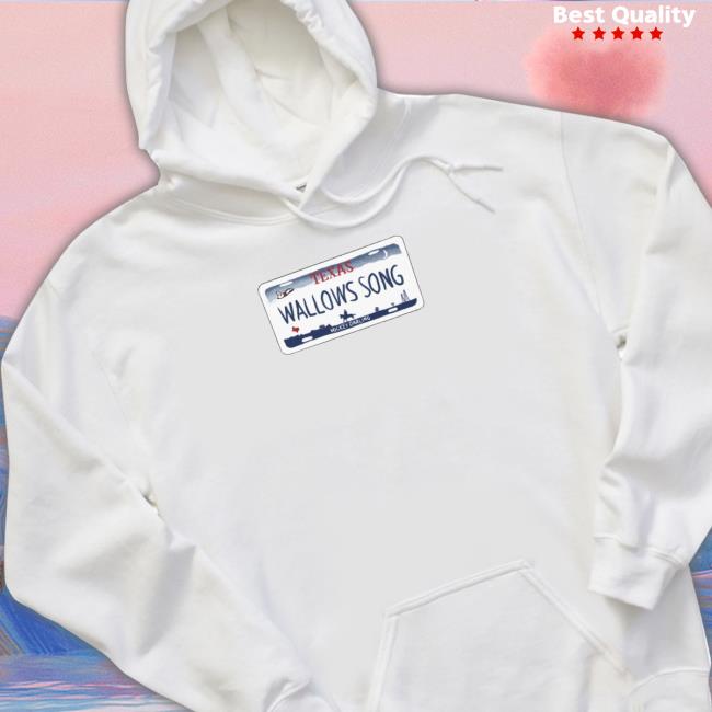 Sexiest Boyband Merch Wallows Song License Plate shirt Sexiest Boyband Merch Wallows Song License Plate Shirt