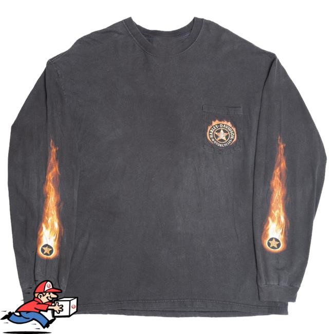 Ragstock Merch Harley Davidson Wildcat Let Freedom Roar Flame Sleeves Tee Shirt