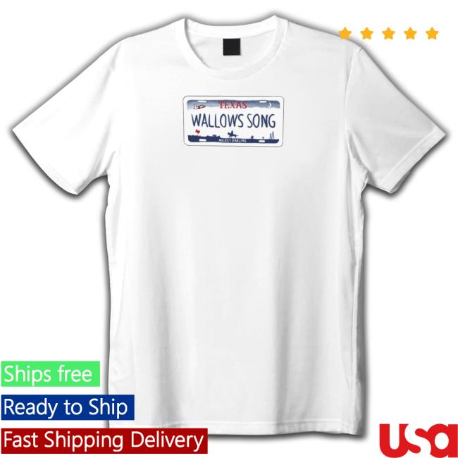 Sexiest Boyband Merch Wallows Song License Plate Shirt