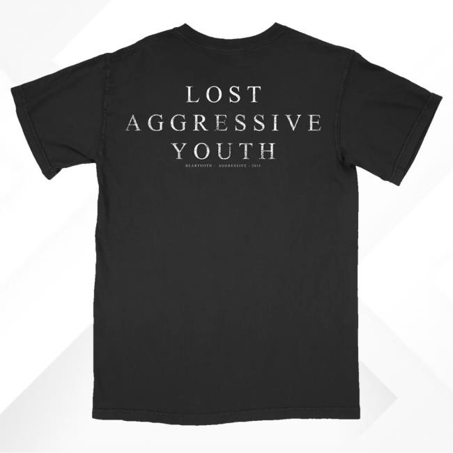 Beartooth Band Merch Store Aggressive Album Tee - Album Collection Shirts