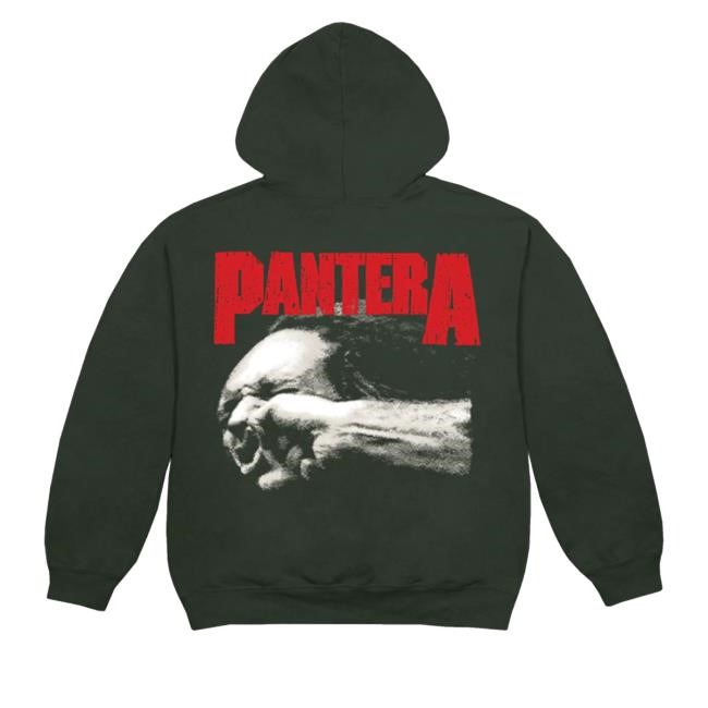 Vulgar Display Of Power Funny Shirt
