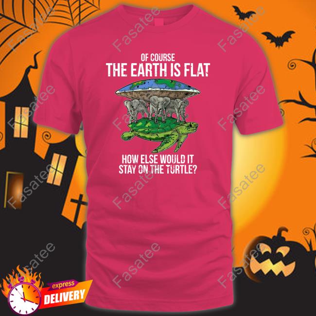Discworld Of Course The Earth Is Flat How Else Would It Stay On The Turtle Sweatshirt