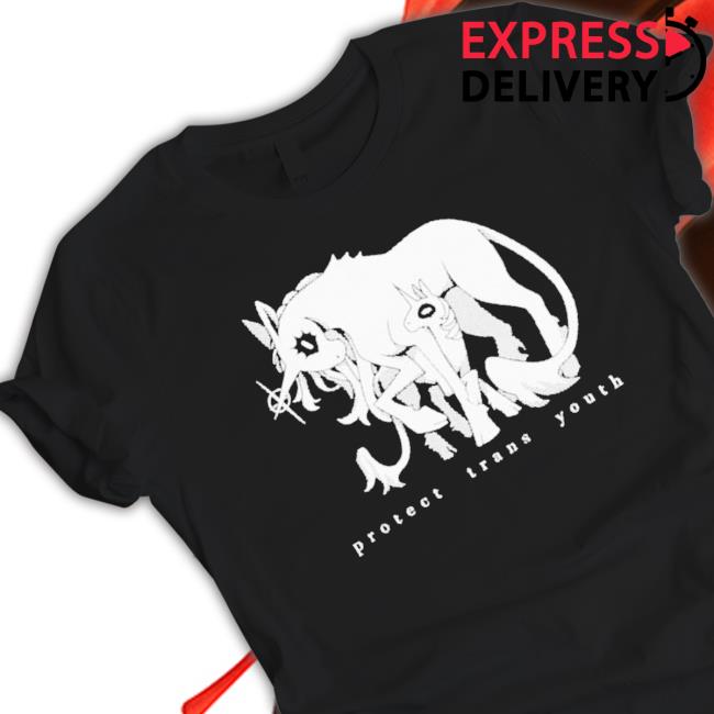 Protect Trans Youth Unicorn shirt, hoodie, tank top, sweater and long sleeve t-shirt