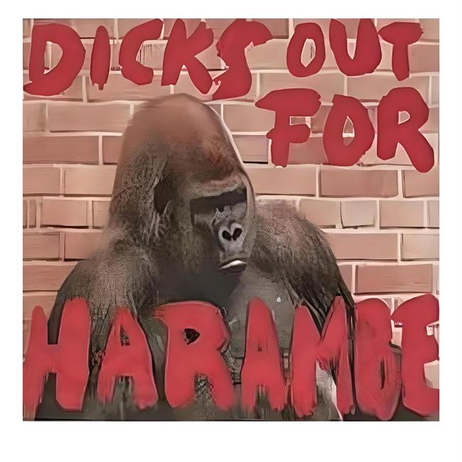 Dicks Out For Harambe T Shirt Shirts That Go Hard