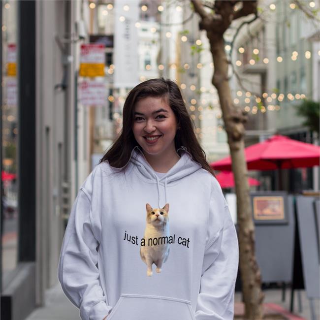 Panko A. Cat’S Mom Just A Normal Cat Hoodie