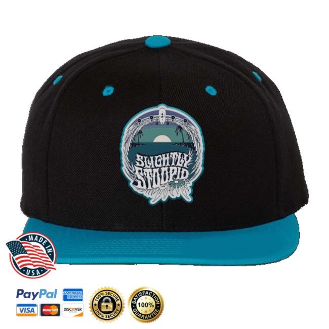Slightly Stoopid Merch Up On A Plane Snapback Hats