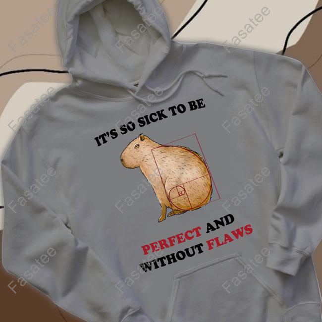 It's So Sick To Be Perfect And Without Flaws T Shirt Justins Shop