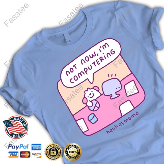 Not Now I'm Computering Heyheymomo Hoodie