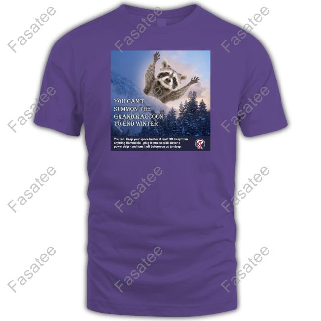 Us Consumer Product Safety Commission You Can't Summon The Grand Raccoon To End Winter Tees Uscpsc