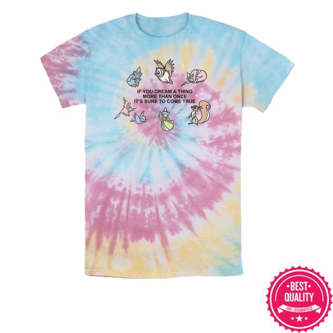 Limited Marketfairshoppes Disney Cinderella Dream It Tie-Dye Shirt