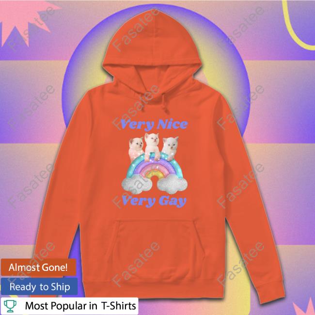Very Nice Very Gay Cat Hoodie