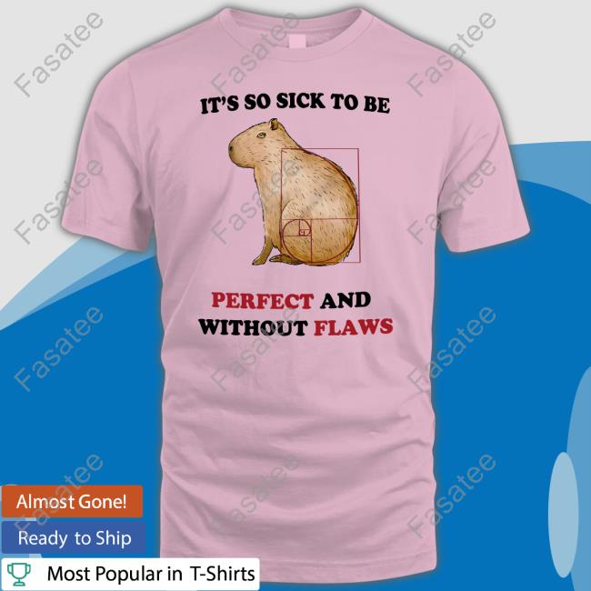 Justinsshirt Store It's So Sick To Be Perfect And Without Flaws New Shirt Jmcgg
