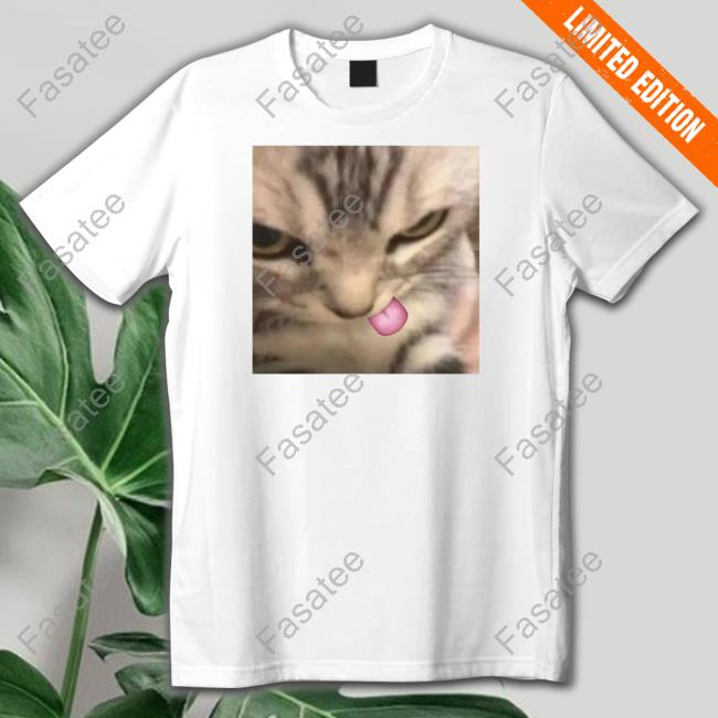 Sillyteestudio Merch Silly Kitten Shirts